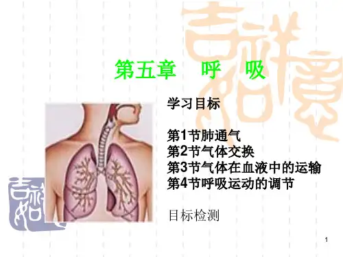 生理学呼吸(课堂PPT)