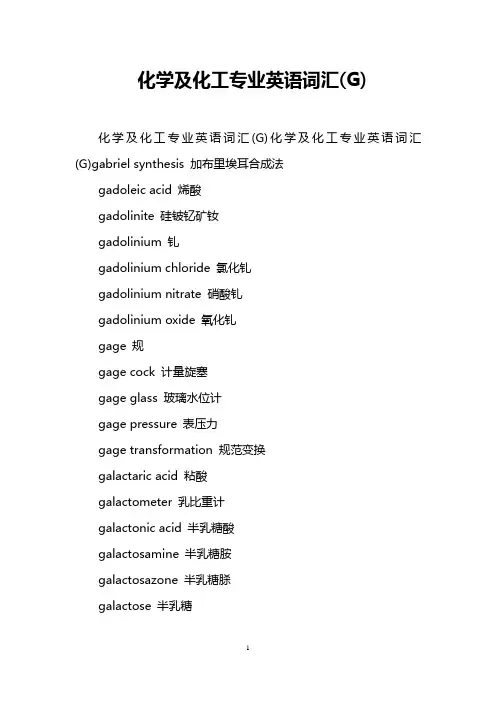 化学及化工专业英语词汇(G)