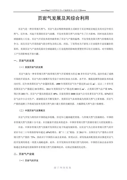 页岩气发展及其综合利用