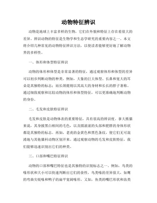 动物特征辨识