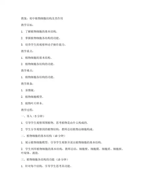 初中植物细胞结构作用教案