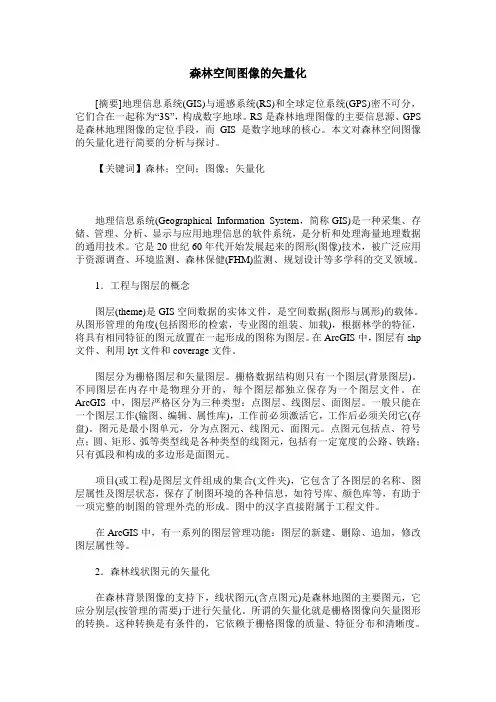 森林空间图像的矢量化