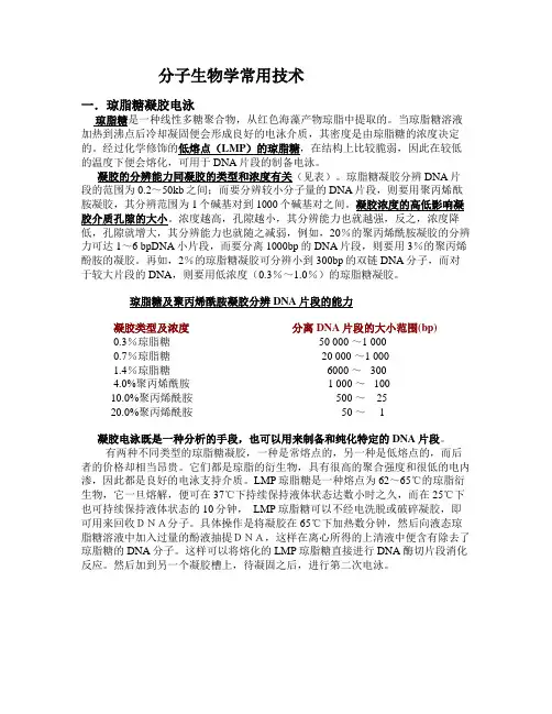 分子生物学常用技术