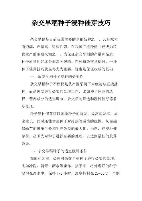 杂交早稻种子浸种催芽技巧
