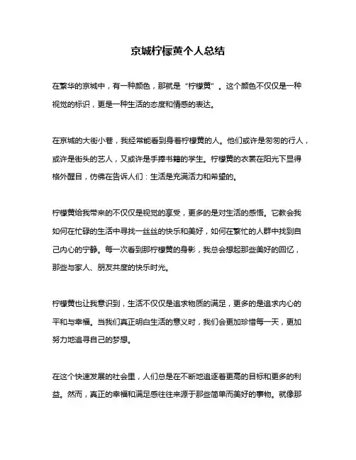 京城柠檬黄个人总结