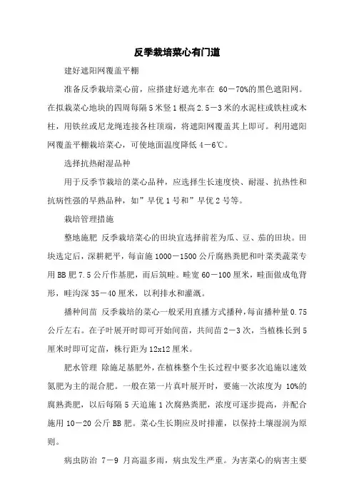 反季栽培菜心有门道