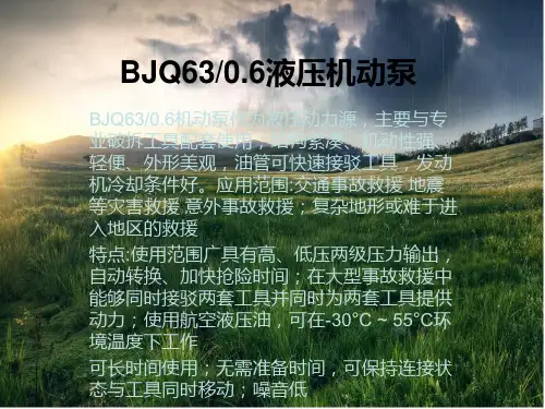 BJQ63-0.6液压机动泵
