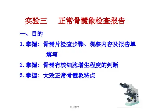 实验三骨髓检验报告