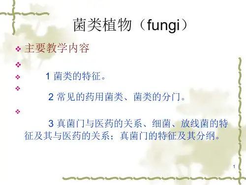 药用植物学-菌类植物精品PPT课件