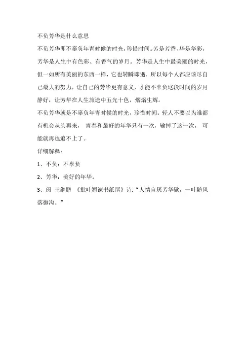 不负芳华的意思