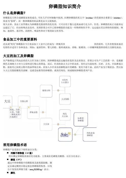 卵磷脂知识简介