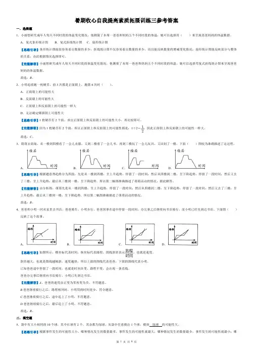 初一数学自我提高素质拓展训练三参考答案