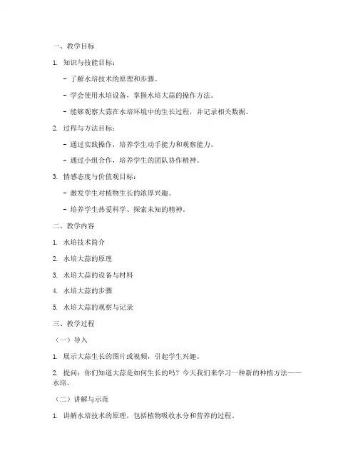 水培大蒜的教学设计方案