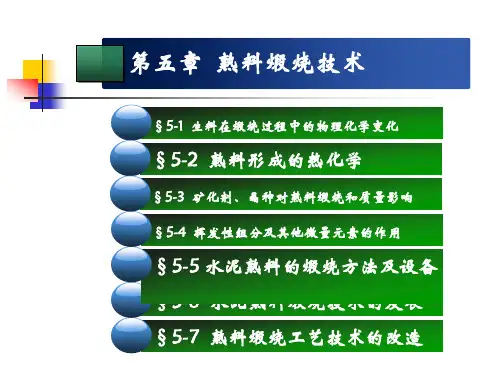 第5章熟料煅烧技术(水泥工艺学精品课程)