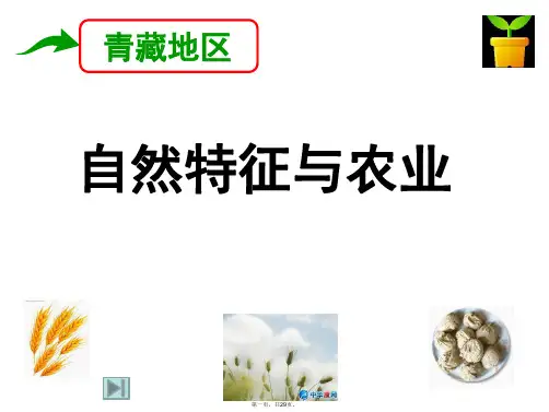人教八年级下册第九章第一节青藏地区自然特征与农业课件共29张PPT
