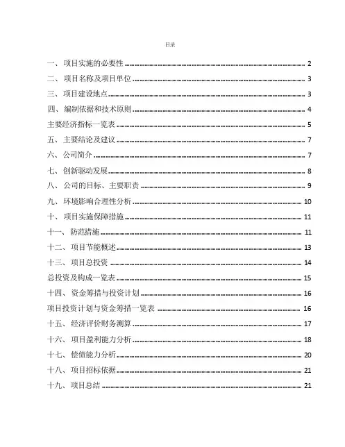 燃料电池项目总结报告