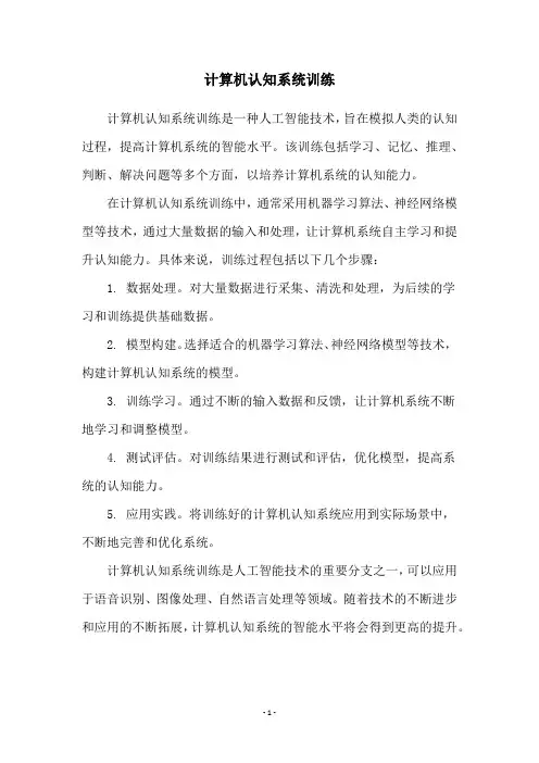 计算机认知系统训练