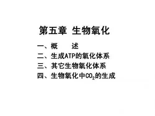 生化 05(生物氧化)
