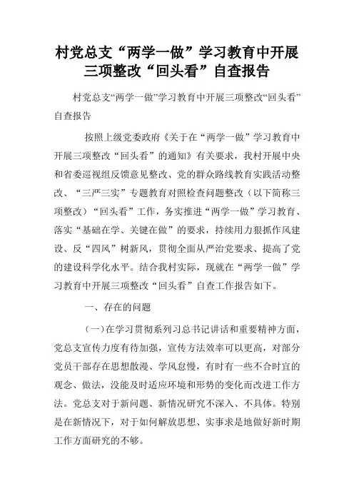村党总支“两学一做”学习教育中开展三项整改“回头看”自查报告