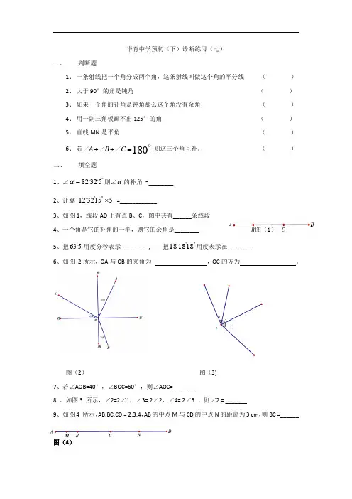 华育中学预初(下)诊断练习(七)