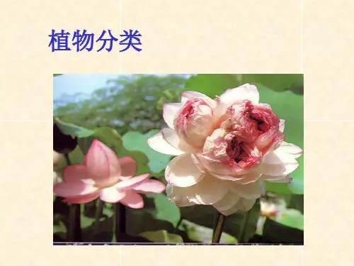 植物分类(张)