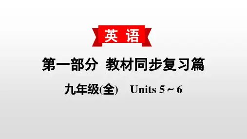 人教版中考初三九年级复习ppt课件(5-6单元)(2)
