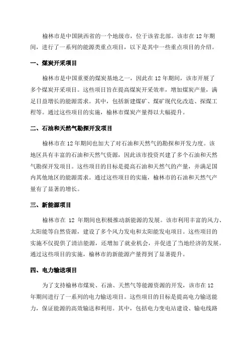 榆林市12年能源类重点项目