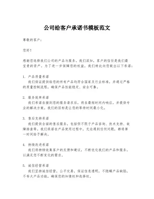 公司给客户承诺书模板范文