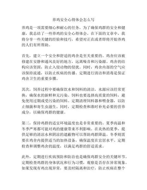 养鸡安全心得体会怎么写