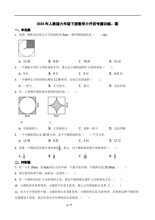2024年人教版六年级下册数学小升初专题训练：圆(含答案)