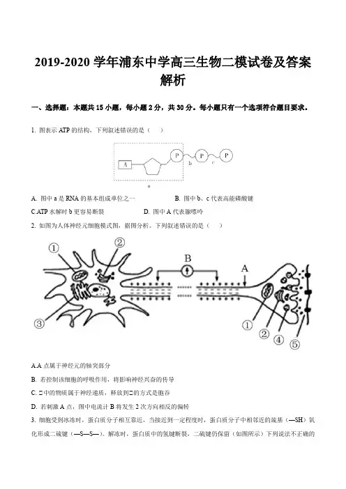 2019-2020学年浦东中学高三生物二模试卷及答案解析