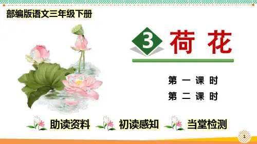 最新2024-2025学年部编人教版语文三年级下册《荷花》优质课件