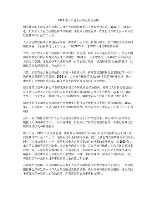 2023年山东省人身伤害赔偿标准