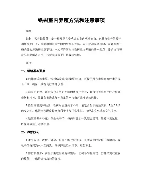 铁树室内养殖方法和注意事项