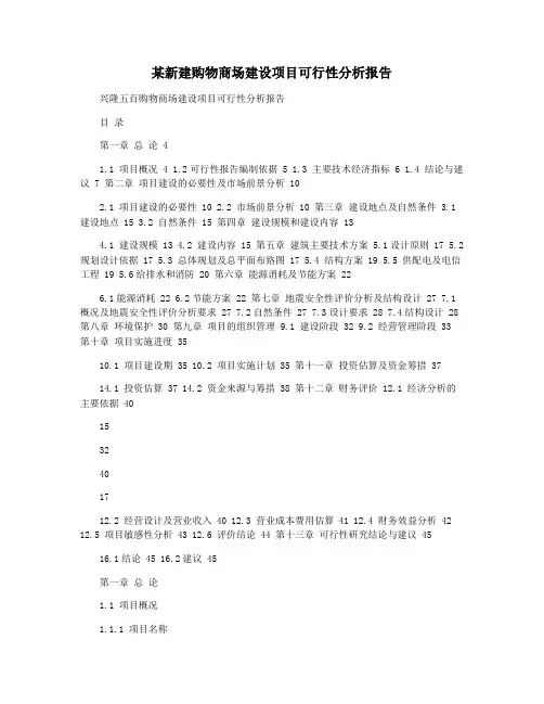 某新建购物商场建设项目可行性分析报告