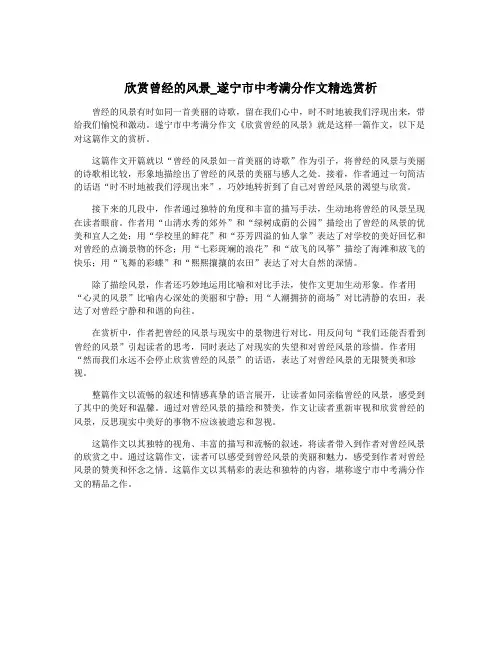 欣赏曾经的风景_遂宁市中考满分作文精选赏析