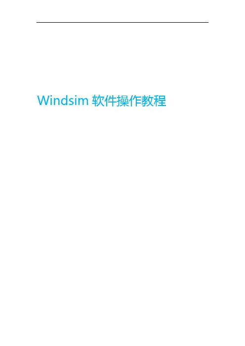 Windsim软件操作教程