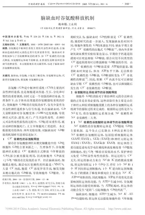 脑缺血时谷氨酸释放机制_梅和珊