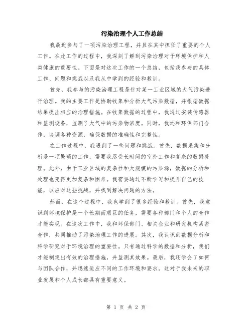 污染治理个人工作总结