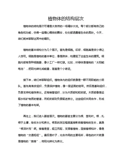 植物体的结构层次