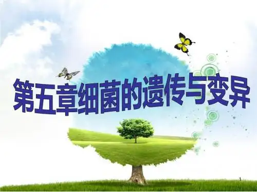 细菌的遗传与变异