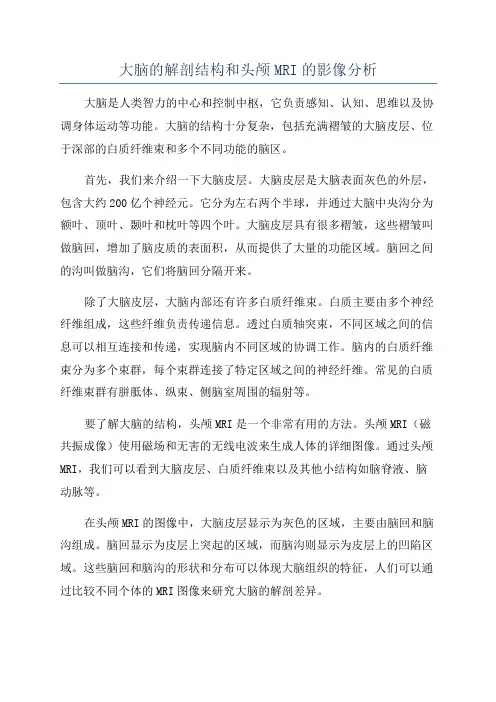 大脑的解剖结构和头颅MRI的影像分析