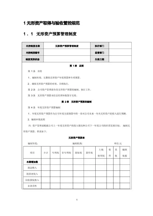 内部控制规范—无形资产