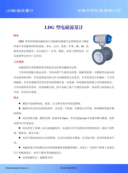 LDG 型电磁流量计 - 智能仪表
