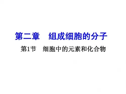 细胞中的元素和化合物