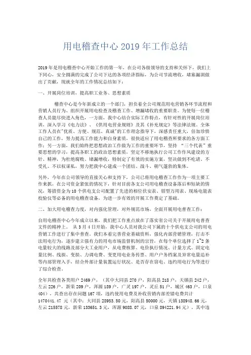 总结报告-用电稽查中心2019年工作总结 精品