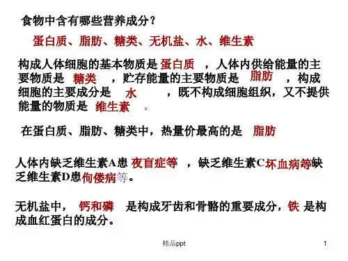 第二节 消化和吸收教学ppt课件