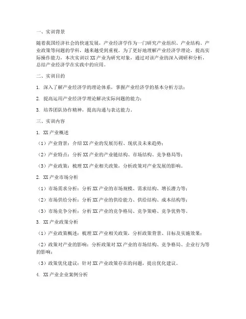 产业经济学实训报告模板