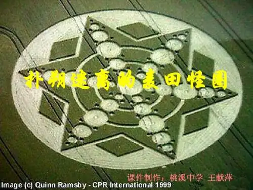 扑朔迷离的麦田怪圈PPT2 鄂教版