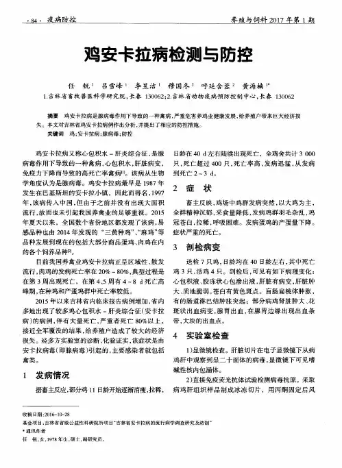 鸡安卡拉病检测与防控